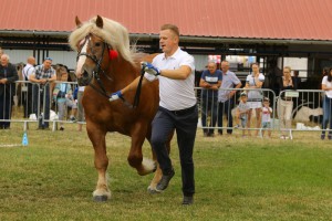 IMG_0146-5d19a0a546dcb