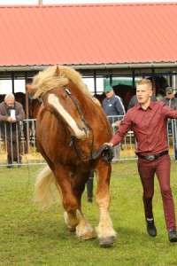 IMG_0173-5d9eeb9492df6