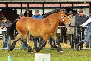 IMG_0192-5d9eeb94d13b5