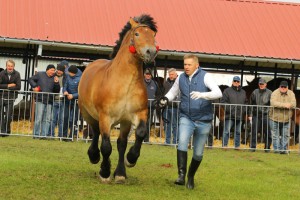 IMG_0199-5d9eeb94b7186