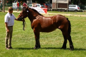 kl. ESMERALDA (Pyk - Estera po Pasat)