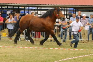 IMG_0289-5d19a0be7de2c