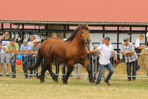 IMG_0297-5d19a0d4213d2