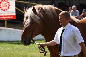 og. ROLAND (Tyk - Ruletka po Upust)