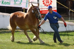 kl. PALOMA (Bonar - Perełka po Wiking)