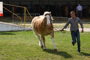 kl. BAJKA (Bandos - Bietka po Bajkał)