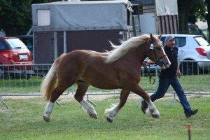 kl. UZDA (Ikar - Uralka po Baszkir)