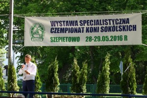 IMG_0512-575a64f421b5a