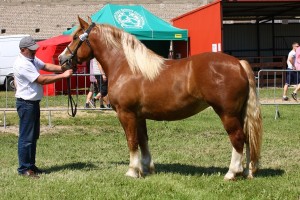 kl. UZDA (Ikar - Uralka po Baszkir)