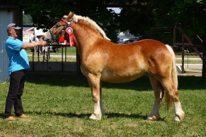 kl. PALOMA (Bonar - Perełka po Wiking)