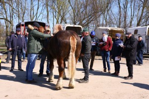 IMG_2528-5cb80b3b811d5