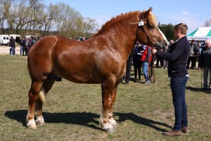 BAJKAŁ (Mamrot - Birma po Pasat)