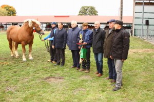 IMG_3527-5d9ef07c2516b