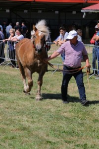 MINKA (Gulipan - Mola po Elos)