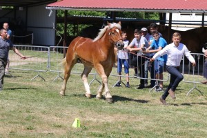 BAWARIA (Brutus - Boliwia po Pasat)