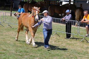 ELEONORKA (Bryl - Epika po Ikar)