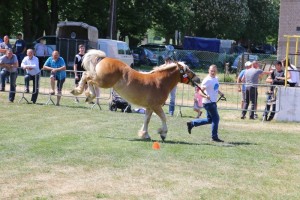 PERŁA (Goran - Pora po Orlan)