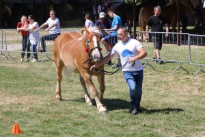 PERŁA (Goran - Pora po Orlan)