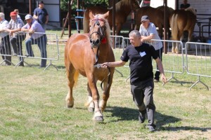 TINA (Wilan - Tala po Bilet)