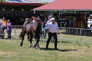 GABRYNA (Umik - Gaba po Baszon)