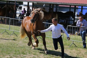 BUTONIERKA (Brutus - Boliwia po Pasat)