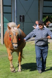 GWIAZDKA (Umik - Gwiazda po Baszon)