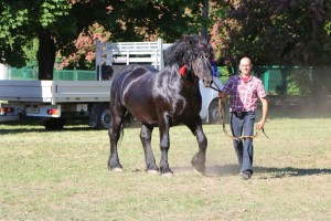 GABON (Umik - Gbona po Bonprix)