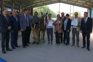 Dekoracja klaczy Szatyna