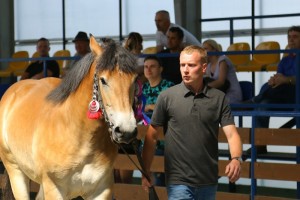 POTOK (Roki - Pati po Poker)