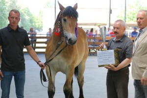 POTOK (Roki - Pati po Poker)