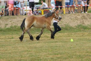 FIODOR (Bayard De Mairy - Finezja po Lukas)