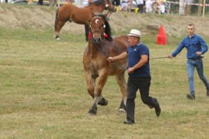 SULIWAN (Lux - Szer po Vangelis)