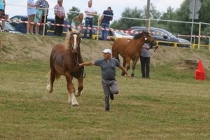 SONER (Fason - Sonia De Maucourt po Jumbo De Maucourt)