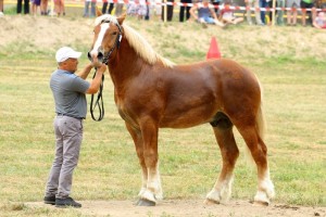 SONER (Fason - Sonia De Maucourt po Jumbo De Maucourt)