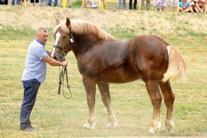 ARON (Framand - Ahugara po Gracjan)