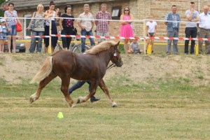 ARON (Framand - Ahugara po Gracjan)