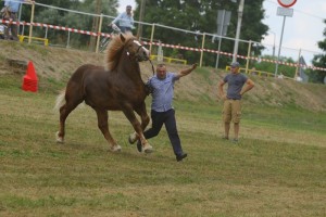 ARON (Framand - Ahugara po Gracjan)