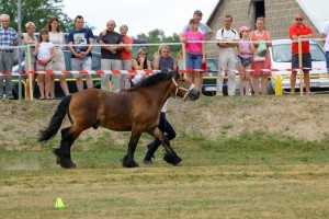 BARON SA (Bayard De Mairy - Barbie De Gibarlet po Rival Du Caire)