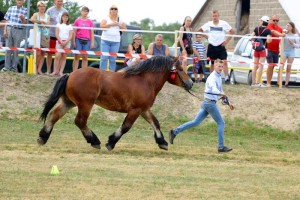 CZAR (Wulkan - Caren po Weron)