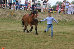 CZAR (Wulkan - Caren po Weron)