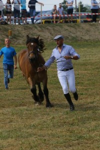 HERA (Hermes - Hanza po Bowen)