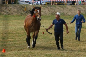 IMG_4756-5b308fbb77ab3