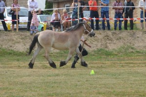 VOLCANA SA (Bayard De Mairy - Vulcana po Leo 148)
