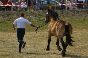 IWANKA (Wiomet - Iwanita po Betowen)