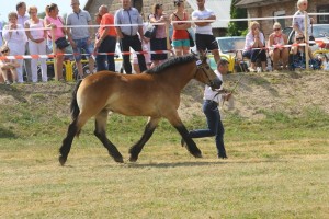 IWANKA (Wiomet - Iwanita po Betowen)