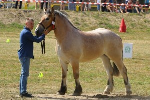 LALKA (Bal - Lozana po Troj)