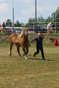 ZYZA (Lux - Zyka po Taquin De L'Etang)