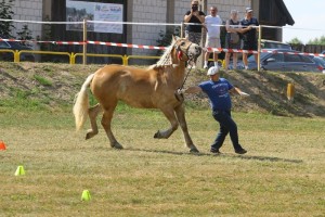 BRAZYLIA (Monet - Bazylia po Baron)