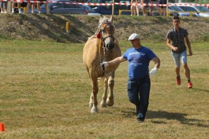 BRAZYLIA (Monet - Bazylia po Baron)