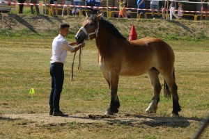 BIZA SA (Ugo Du Bourbeau - Bianka po Lukas)